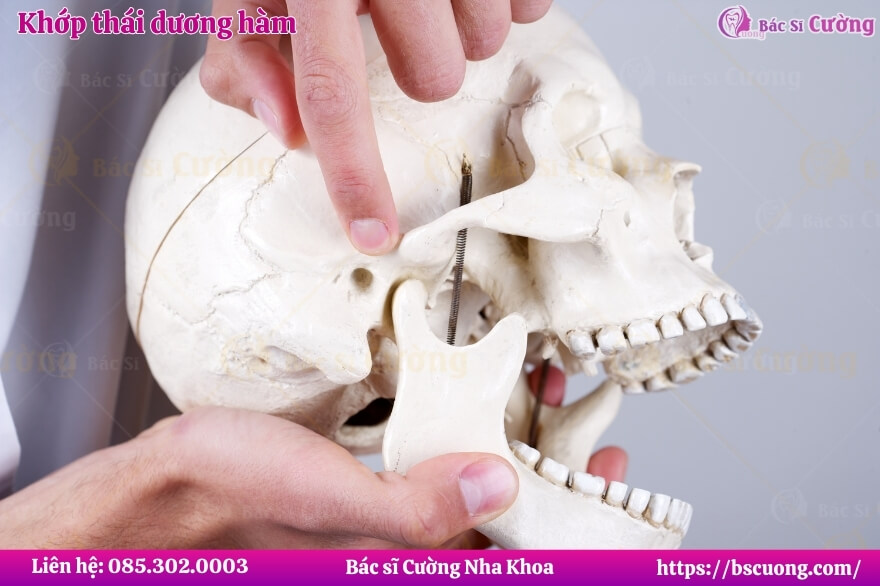 khớp thái dương hàm