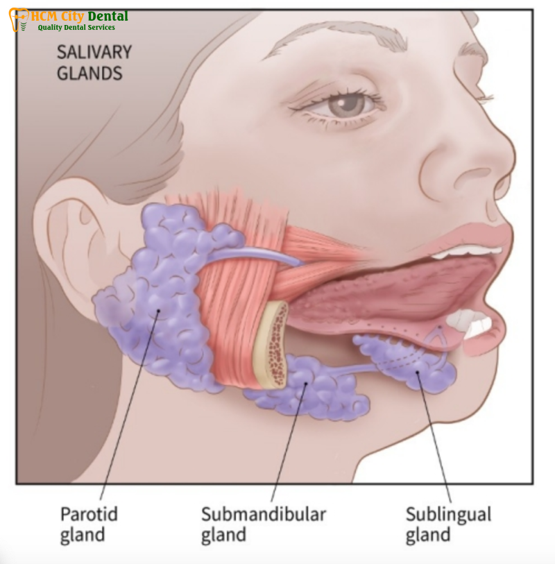 soi-tuyen-nuoc-bot-5-bac-si-cuong-nha-khoa-bscuong-bac-si-cuong-nha-khoa-bscuong